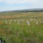 OTRA2013_1422 (July 16, 2013)